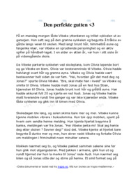 Den perfekte gutten | Norsk oppgave