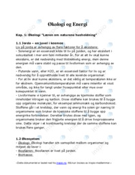Energi og Økologi