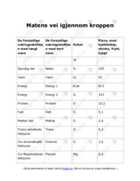 Matens vei igjennom kroppen
