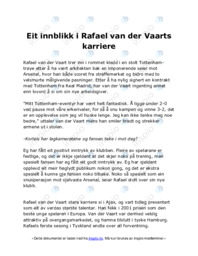 Eit innblikk i Rafael van der Vaarts karriere