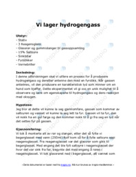 Vi lager hydrogengass