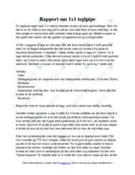 Rapport om 1×1 teglpipe