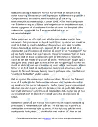 Analyse av en reklame fra Network Norway