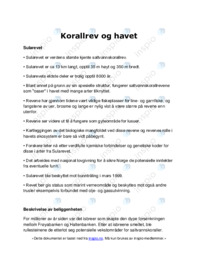 Korallrev og havet