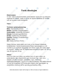 Torsk disseksjon