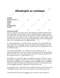 Disseksjon av svineøye