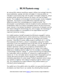BLM Protests essay