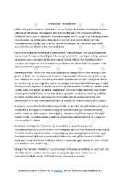 Amatøren | Tolkningsoppgave