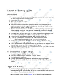 Sammendrag om sanker- og jegersamfunnet