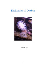 Ekskursjon til Drøbak | Biologi