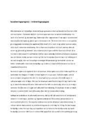 Sosialiseringsprogress – innleveringsoppgave