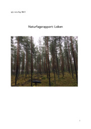 Naturfagsrapport: Loken