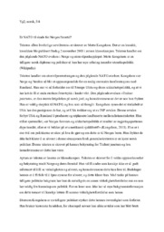 Er NATO til skade for Norges fremtid?