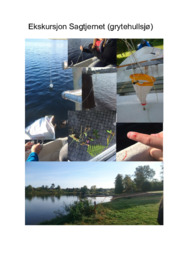 Biologirapport | Ekskursjon Sagtjernet | Biologi oppgave