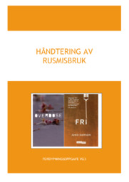 Håndtering av rusmisbruk | Fordypningsoppgave