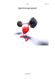 Egentreningsrapport | Gym