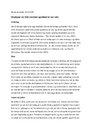 Det norske språket er en vits | Analyse