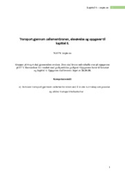 Osmose i rødløk | Biologi Rapport