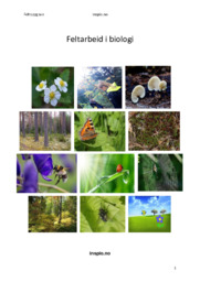 Feltarbeid i biologi | Rapport