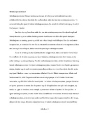 Fundamentalt om sirkulasjonssystemet | Biologi