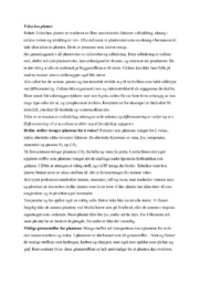 Vekst hos planter | Biologi
