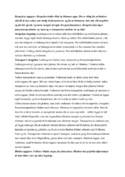 Stengelens oppgave | Biologi