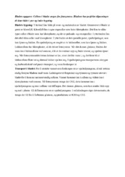 Bladets oppgave | Biologi-drøfteoppgave