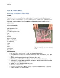 DNA og Genteknologi | Biologi