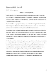 Baklengs inn i framtiden | Norsk oppgave