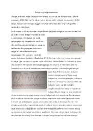 Bølger og bølgefenomener