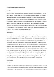 Novelleanalyse Kamerat måne