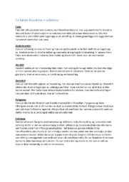 De første filosofene | sofistene