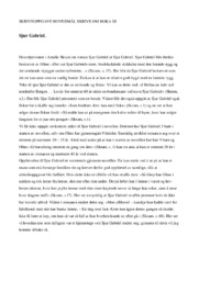 Sjur Gabriel | Romananalyse