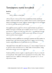 ‘2019- et viktig år’ | Analyse | Terminprøve