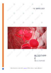 Blodtyppe | Rapport