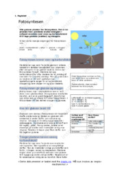 Fotosyntesen | Oppgave