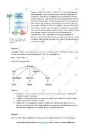 Økologi | Oppgave