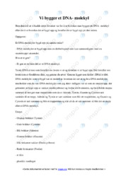 Vi bygger et DNA molekyl | Oppgave