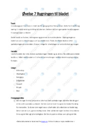 Fotosyntesen | Bygningen til bladet | Biologirapport