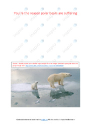 You’re the reason polar bears are suffering | Essay i engelsk