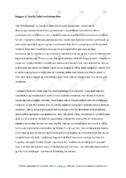 Om forfatterinner | Analyse på Norsk | Camilla Collett