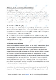 What can we do to save the British wildlife | Oppgave i engelsk