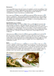 Renessansen | 1400-1500 | Oppgave | Historie