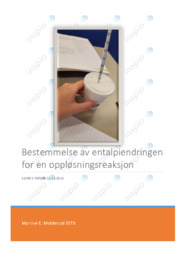 Oppløsningsreaksjon | Entalpiendringen | Forsøk | Kjemi