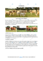 Ammeku | Produksjonskjeden | Oppgave | Landbruk