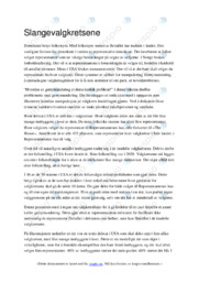 Slange valgkretsene | Oppgave | Samfunnsfag