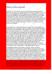 Skylden for første verdenskrig | Oppgave i historie